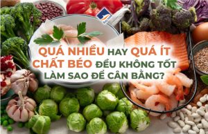 Quá nhiều hay ít chất béo đều không tốt, làm sao để cân bằng